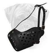 "Dondi" Style Leather Bullmastiff Muzzle  "Dondi" Style Leather Bullmastiff Muzzle