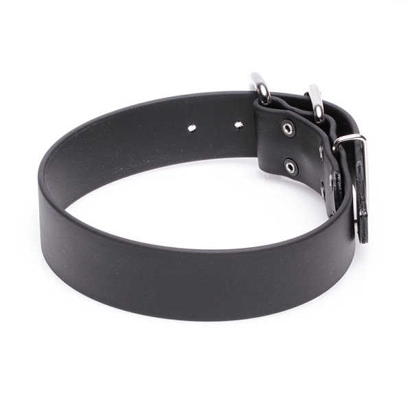 Biothane Dog Collar for Training