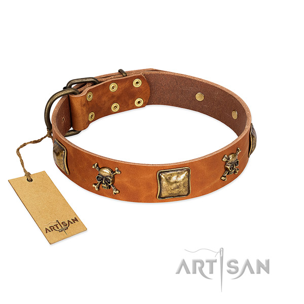 Remarkable full grain natural leather dog collar with corrosion resistant studs