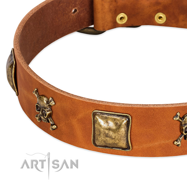 Inimitable full grain genuine leather dog collar with strong decorations