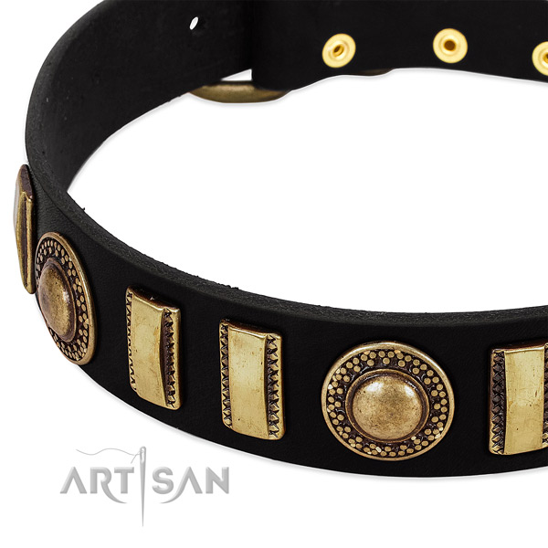 Strong genuine leather dog collar with durable traditional buckle