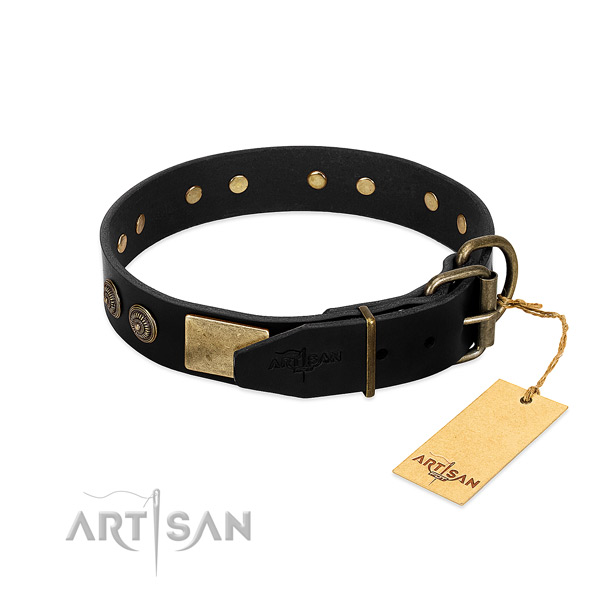 Rust resistant buckle on leather dog collar for your four-legged friend