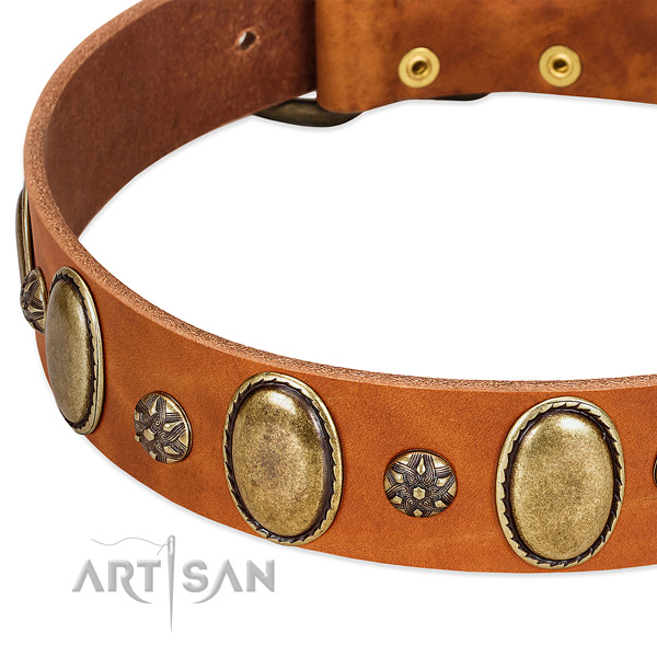 Daily use top notch genuine leather dog collar