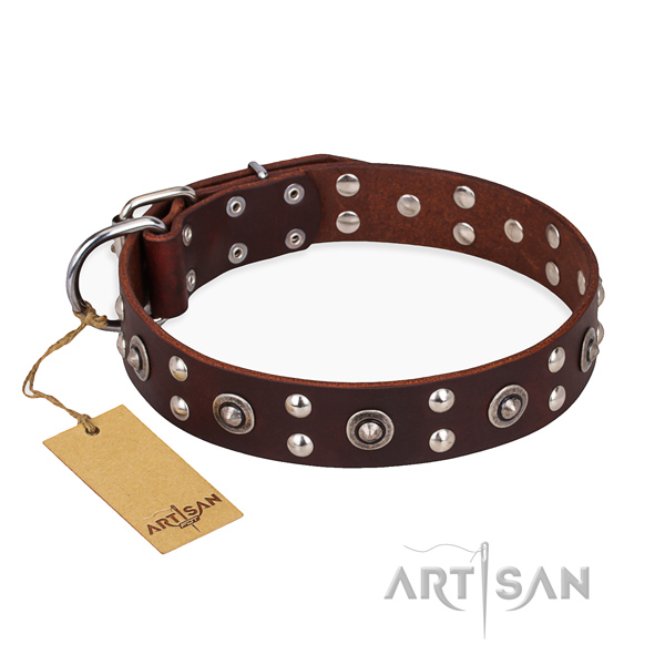 Stylish walking awesome dog collar with rust-proof buckle
