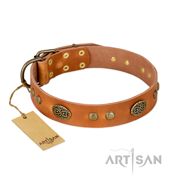 Corrosion proof embellishments on full grain natural leather dog collar for your pet