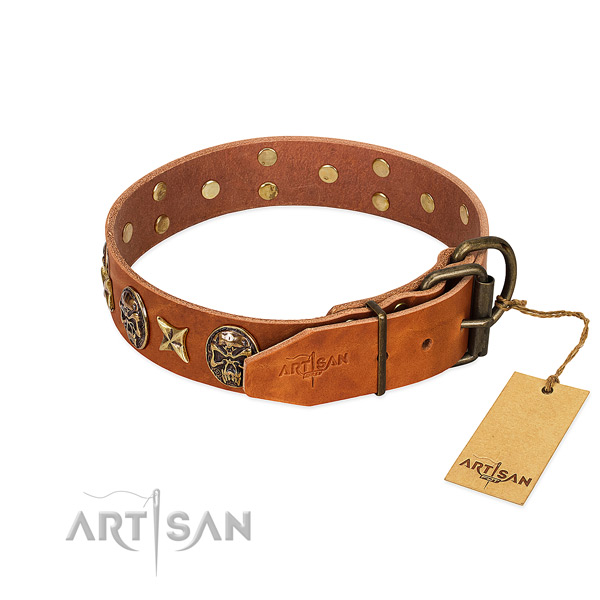 Leather dog collar with rust-proof fittings and embellishments