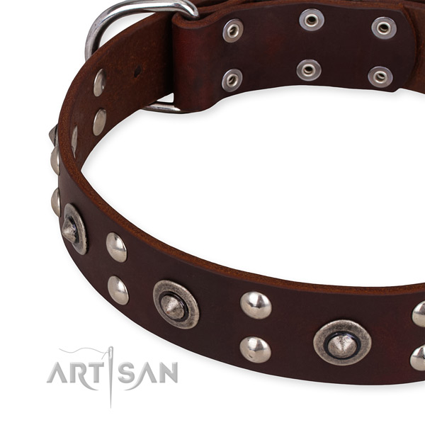 Leather collar with reliable fittings for your attractive canine