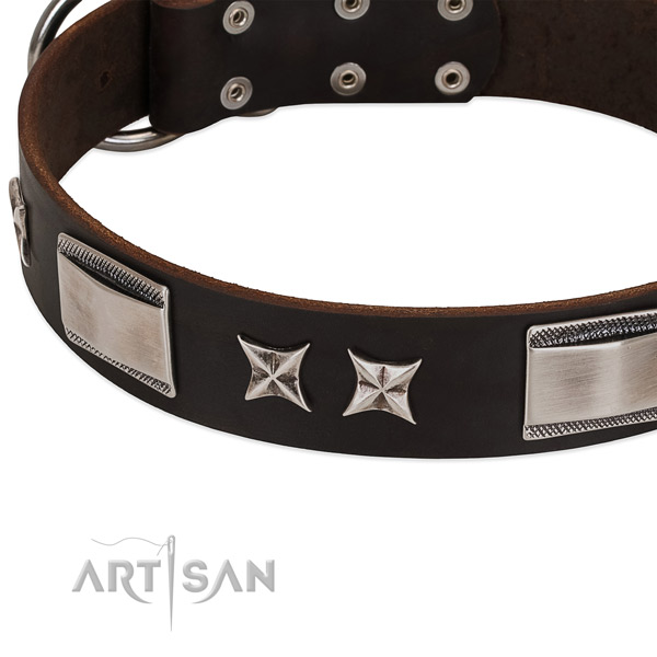 Flexible full grain leather dog collar with strong buckle