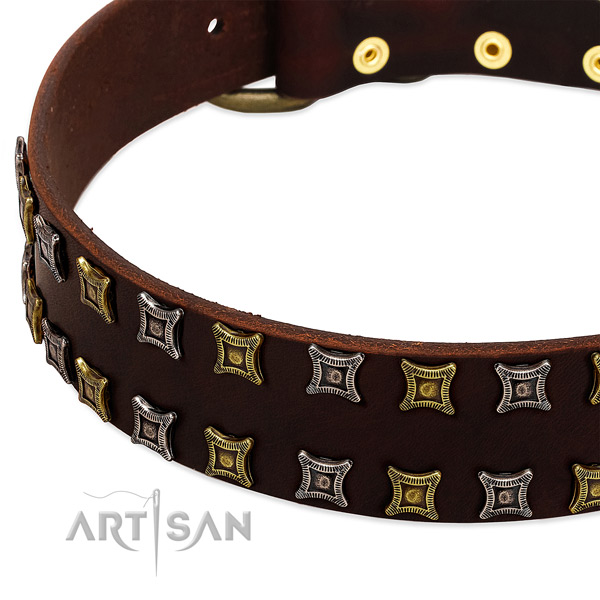 Top notch leather dog collar for your impressive pet