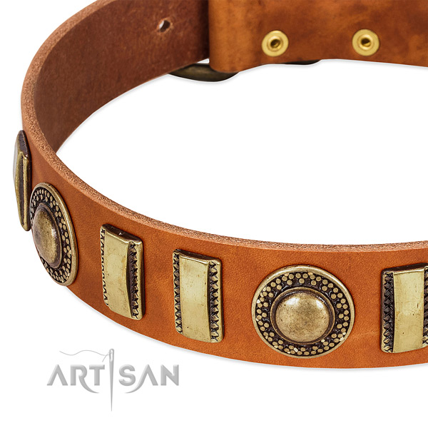 Reliable full grain genuine leather dog collar with reliable fittings
