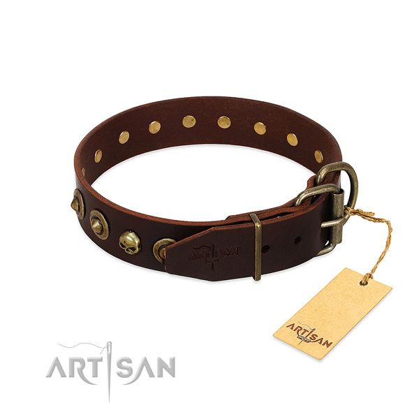 Natural leather collar with remarkable adornments for your dog