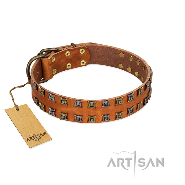 Top rate full grain genuine leather dog collar with embellishments for your pet