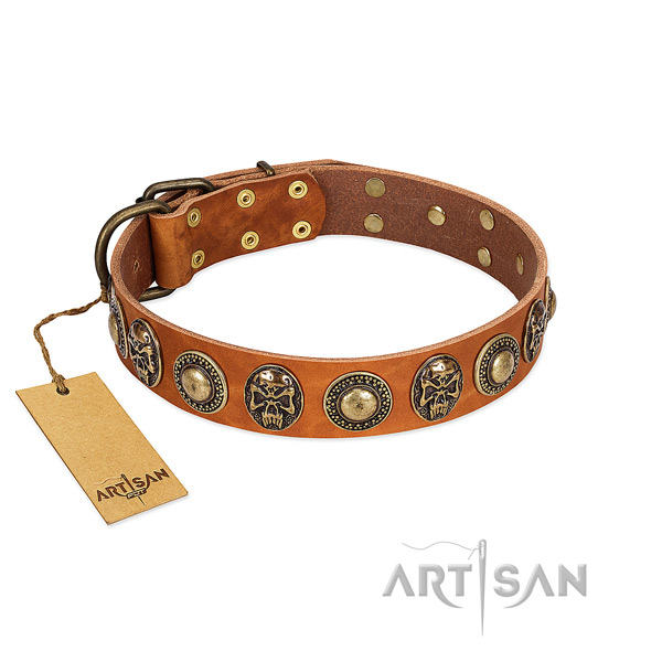 Easy wearing full grain leather dog collar for basic training your doggie