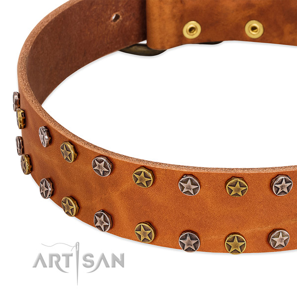 Walking full grain natural leather dog collar with designer adornments