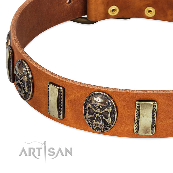 Durable decorations on full grain natural leather dog collar for your pet