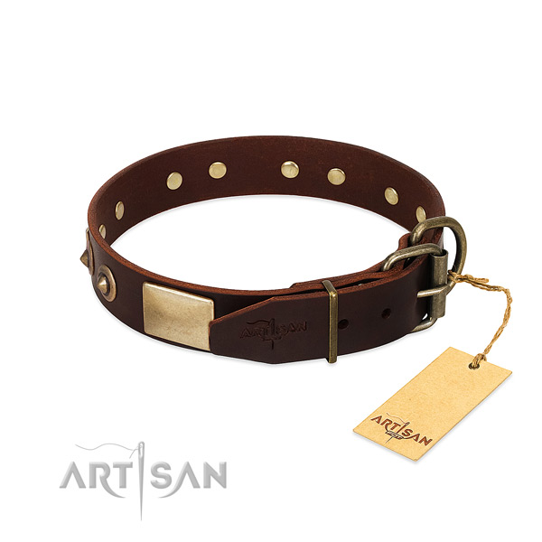 Rust-proof D-ring on everyday walking dog collar