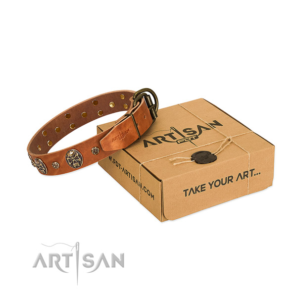 Durable studs on natural genuine leather dog collar for your canine