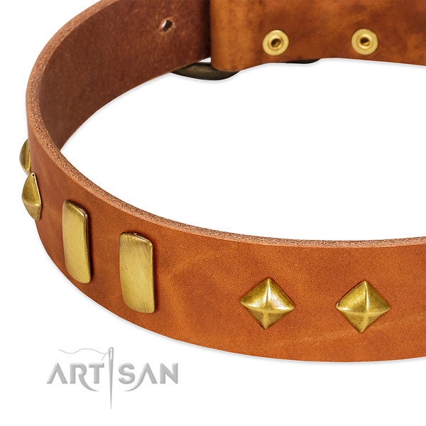 Everyday use leather dog collar with stylish design decorations