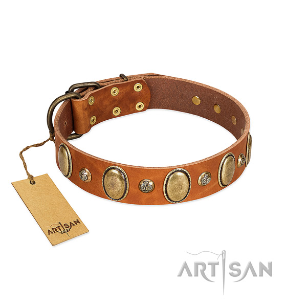Full grain leather dog collar of top notch material with significant decorations