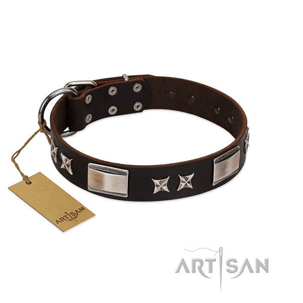 Designer dog collar of natural leather