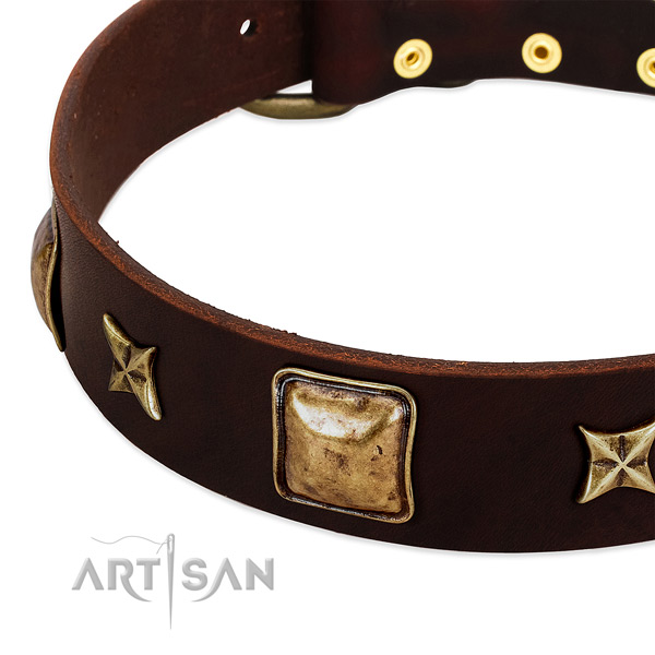 Corrosion resistant decorations on natural genuine leather dog collar for your dog