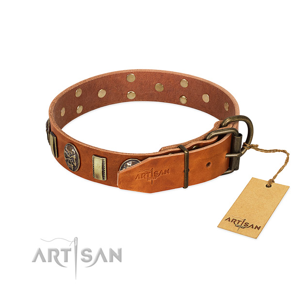 Full grain genuine leather dog collar with reliable traditional buckle and decorations