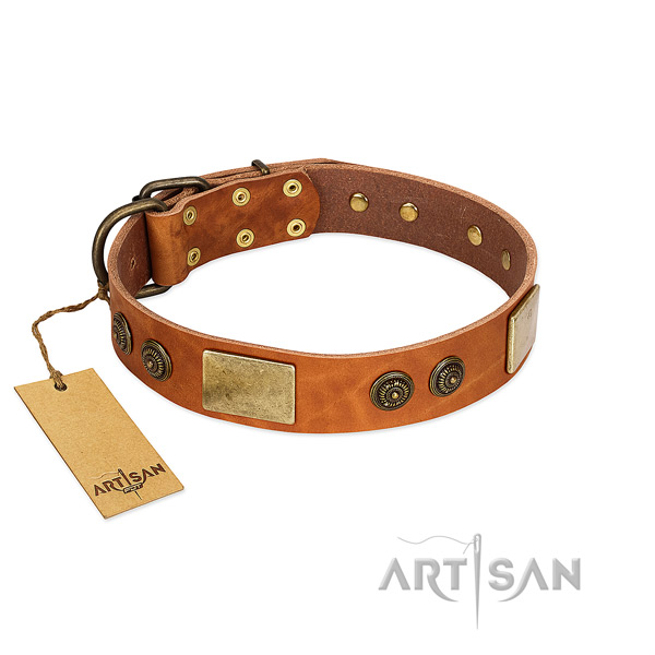 Unusual genuine leather dog collar for stylish walking