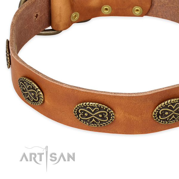 Decorated natural genuine leather collar for your impressive four-legged friend