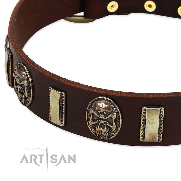 Strong adornments on full grain leather dog collar for your pet