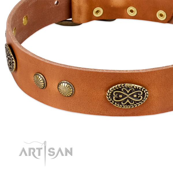 Durable embellishments on genuine leather dog collar for your pet