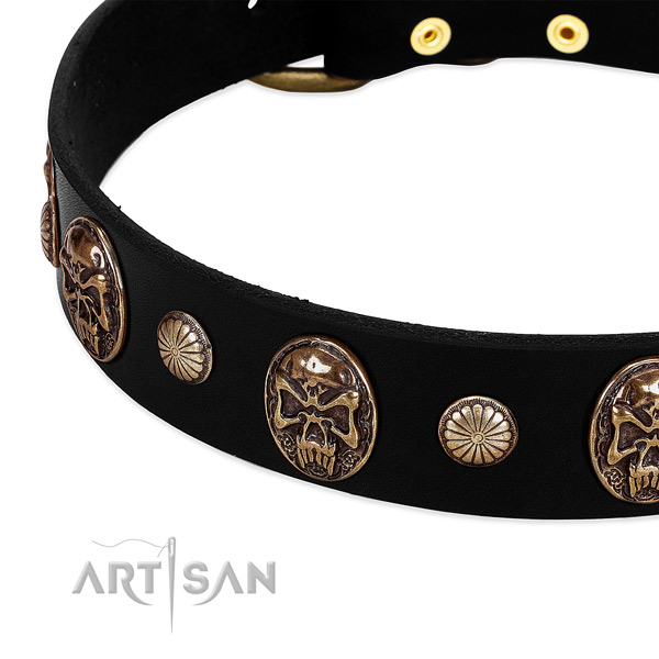 Full grain leather dog collar with remarkable embellishments