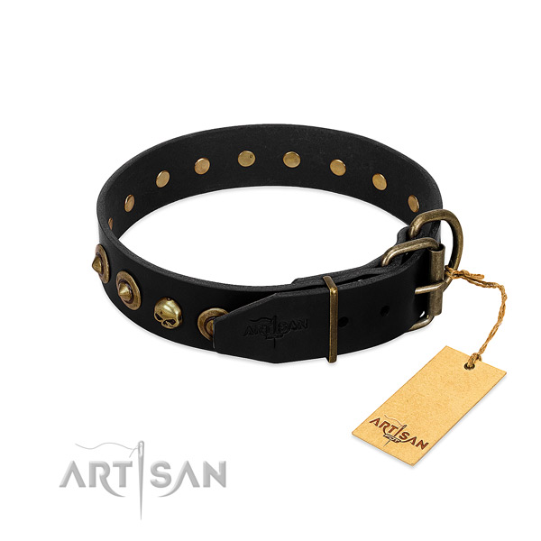 Natural leather collar with unusual embellishments for your canine