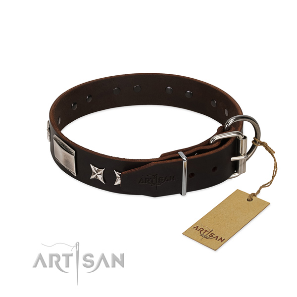 Handmade collar of natural leather for your beautiful dog