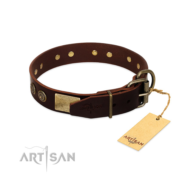 Corrosion proof adornments on full grain leather dog collar for your pet