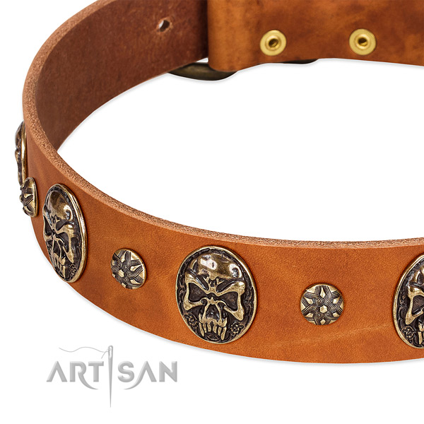 Corrosion resistant studs on full grain natural leather dog collar for your canine