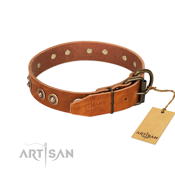 Corrosion proof fittings on leather dog collar for your canine