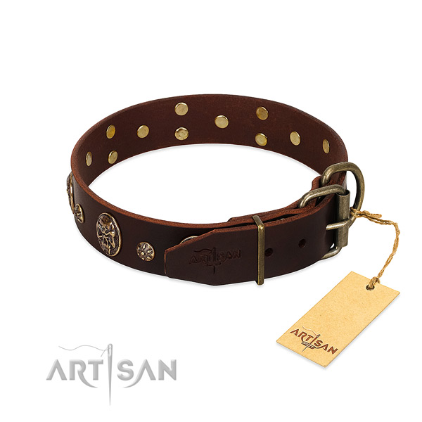 Rust-proof buckle on leather dog collar for your dog