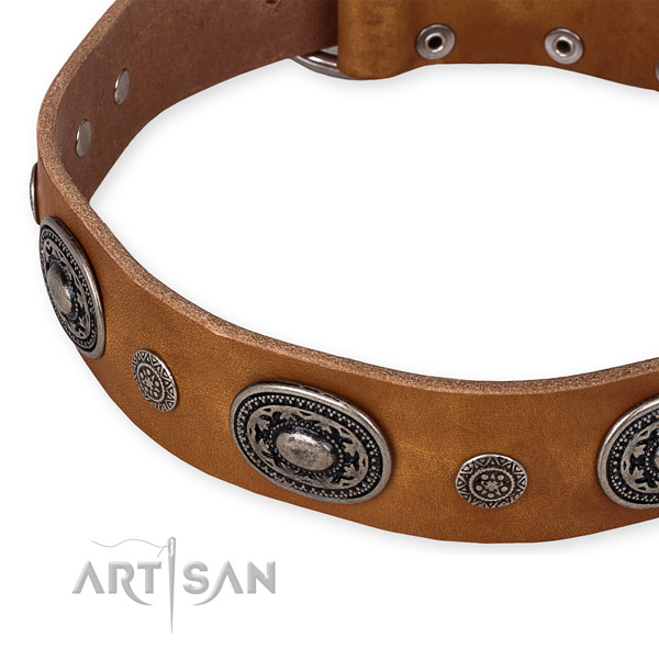 High quality full grain leather dog collar handmade for your handsome canine