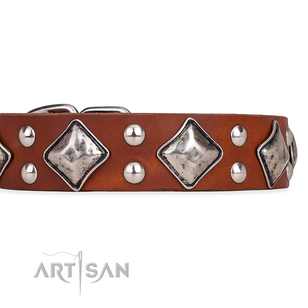 Full grain leather dog collar with unusual rust resistant studs