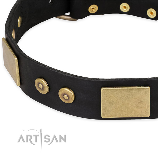 Strong studs on leather dog collar for your four-legged friend