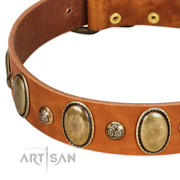 Full grain genuine leather dog collar with designer decorations