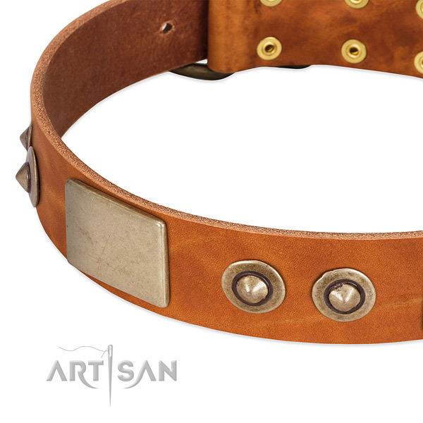Rust resistant studs on full grain leather dog collar for your canine