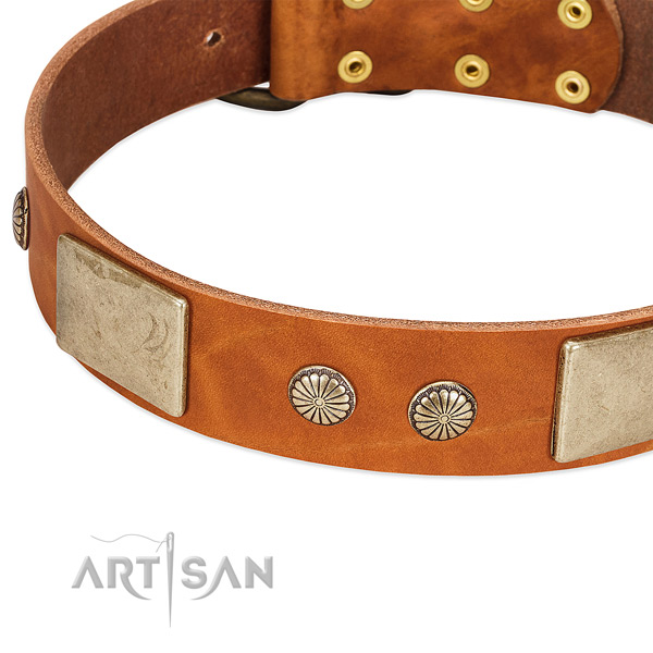 Strong D-ring on leather dog collar for your canine