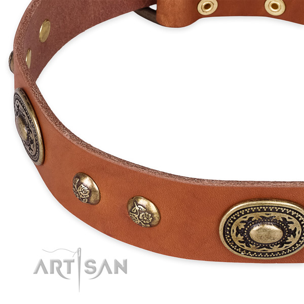 Trendy full grain leather collar for your handsome doggie