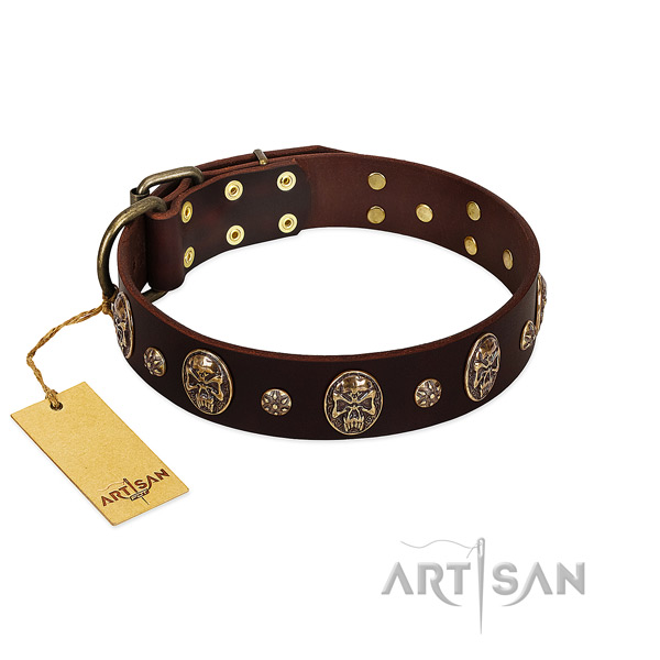 Stunning full grain genuine leather collar for your canine