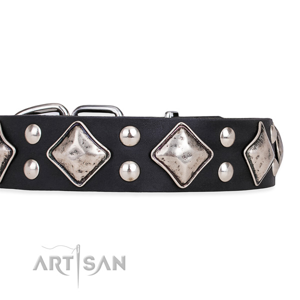 Full grain leather dog collar with stylish design corrosion resistant studs