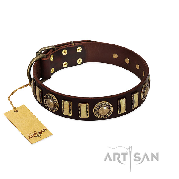 High quality full grain leather dog collar with corrosion resistant D-ring