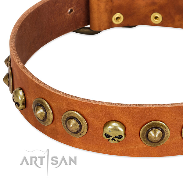 Incredible embellishments on natural leather collar for your pet