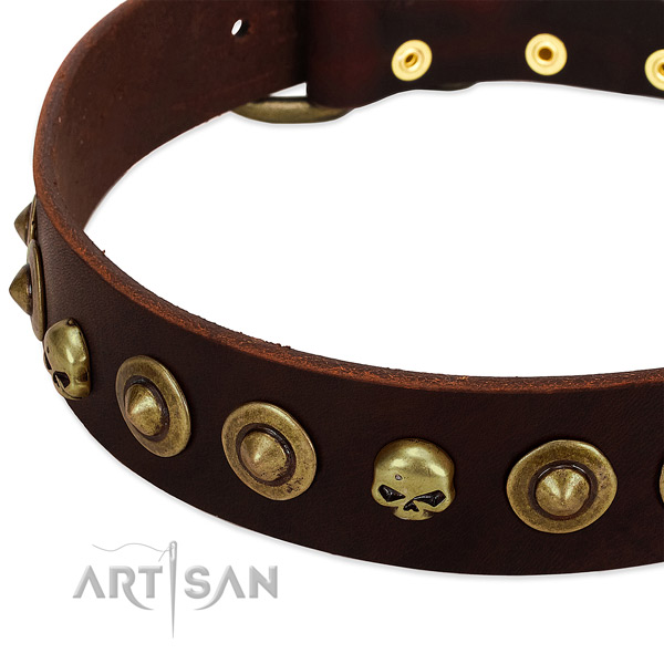 Exquisite studs on full grain natural leather collar for your dog