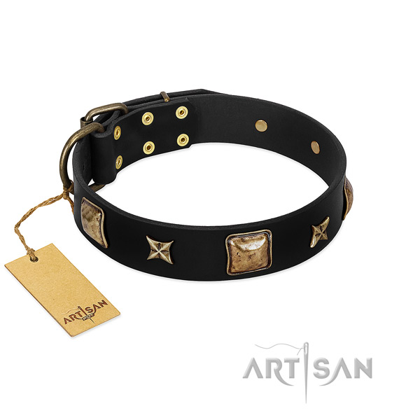 Full grain leather dog collar of soft material with unique decorations